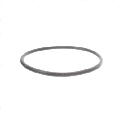 Picture of O-Ring