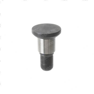 Picture of Bolt