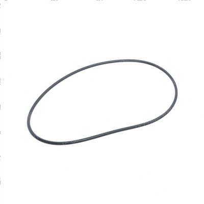 Picture of O-Ring