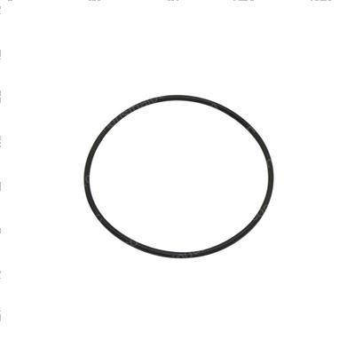 Picture of O-Ring