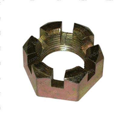 Picture of Nut - Castle