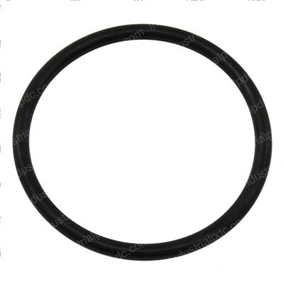 Picture of O-Ring