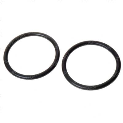 Picture of O-Ring