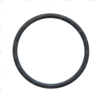 Picture of O-Ring
