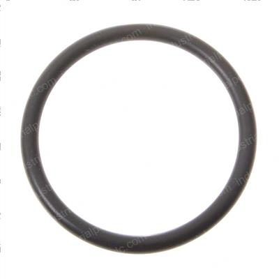 Picture of O-Ring