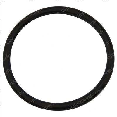 Picture of O-Ring