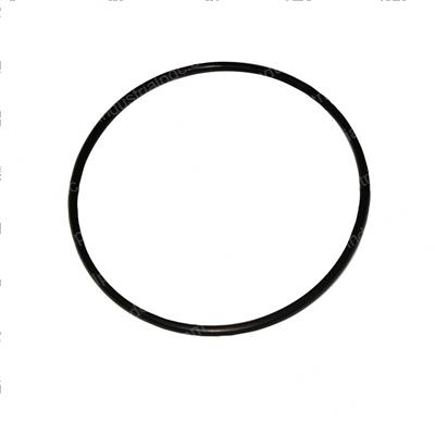 Picture of O-Ring