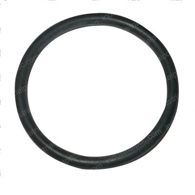 Picture of O-Ring