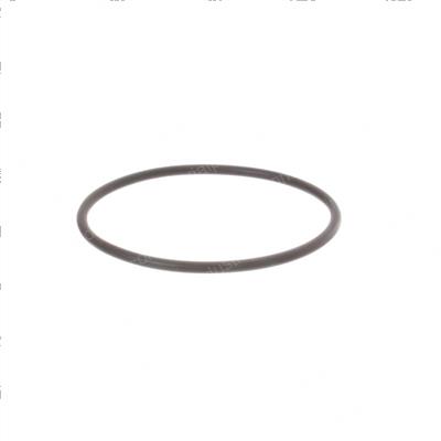 Picture of O-Ring