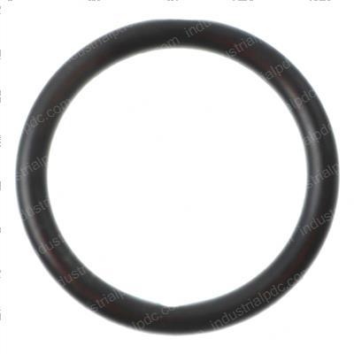 Picture of O-Ring