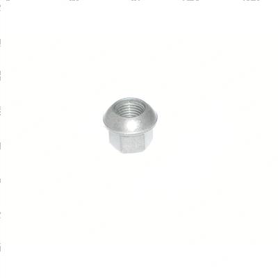 Picture of Nut