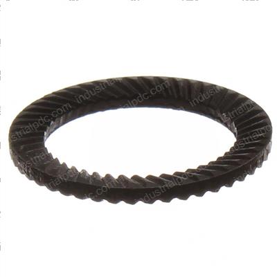 Picture of Spring Washer