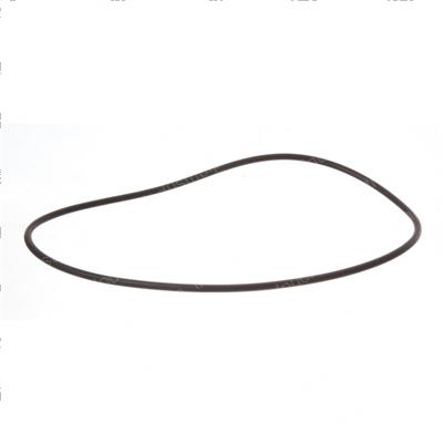 Picture of O-Ring