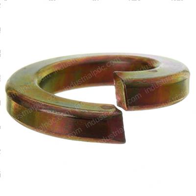 Picture of Spring Washer