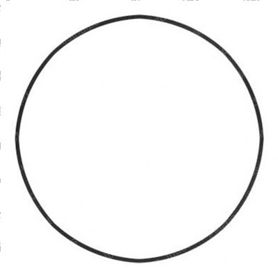 Picture of O-Ring