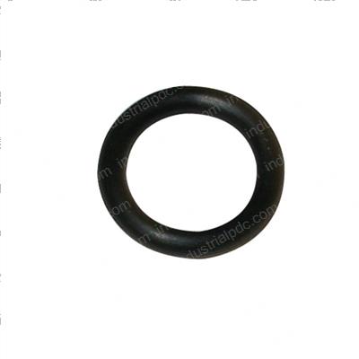 Picture of O-Ring