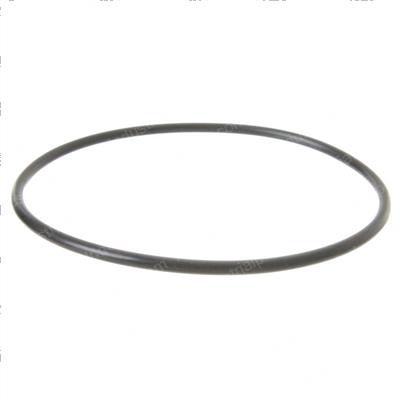 Picture of O-Ring