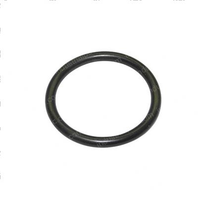 Picture of O-Ring