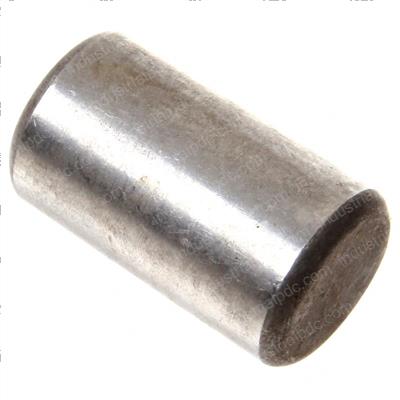 Picture of Parallel Pin