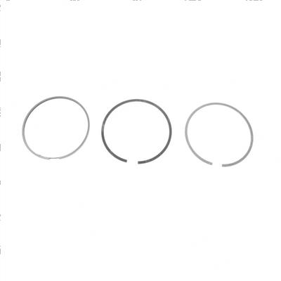 Picture of Ring Set 1.00mm 1004.40