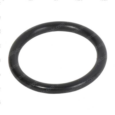 Picture of O-Ring