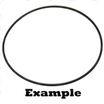 Picture of O-Ring