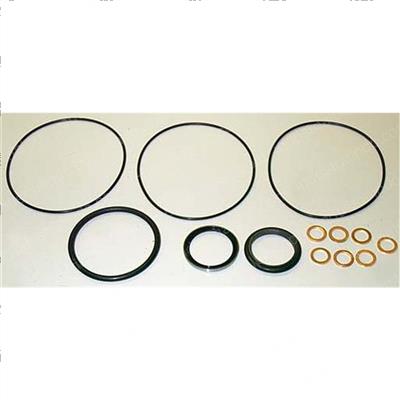 Picture of Seal Kit - Orbitrol