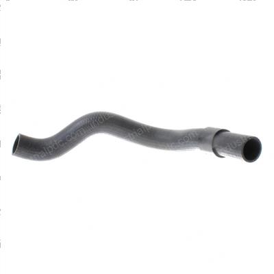 Picture of Hose - Radiator