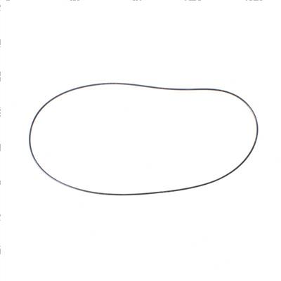 Picture of O-Ring