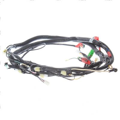 Picture of Harness-(b)