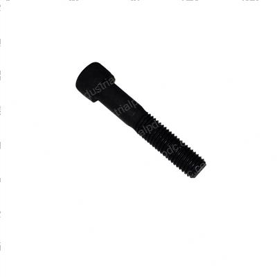 Picture of Bolt