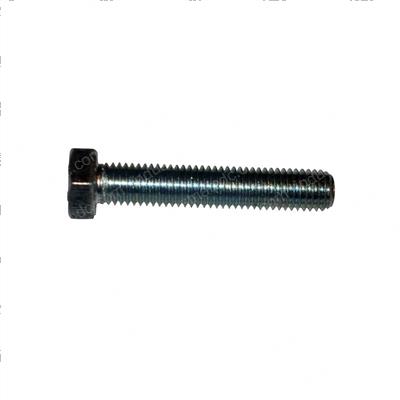 Picture of Bolt