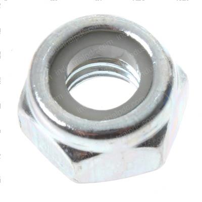 Picture of Nut