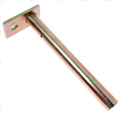 Picture of Pin
