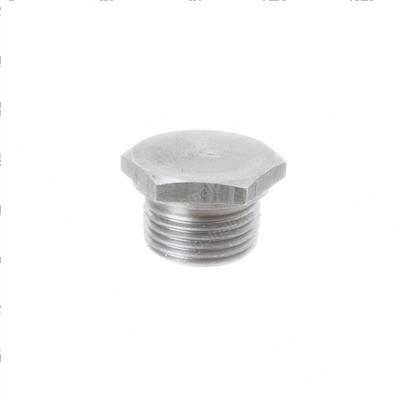 Picture of Plug - Sae