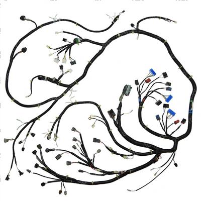 Picture of Harness B-Le