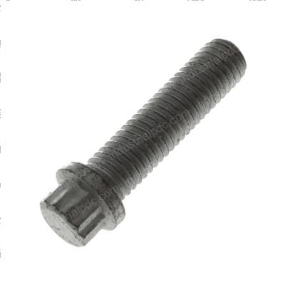 Picture of Bolt