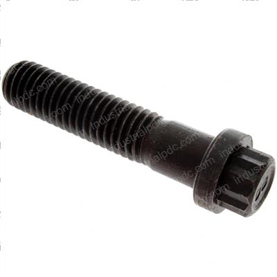 Picture of Bolt