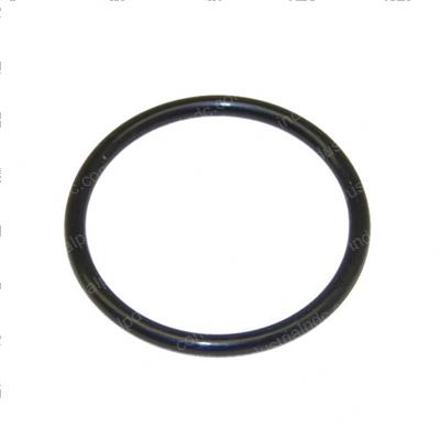 Picture of O-Ring