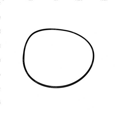 Picture of O-Ring