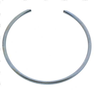 Picture of Ring Snap