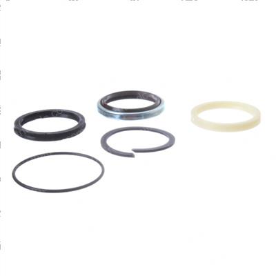 Picture of Seal Kit-Lif
