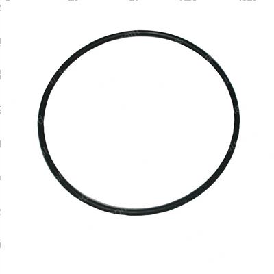 Picture of O-Ring