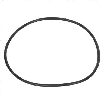 Picture of O Ring, Return Filter