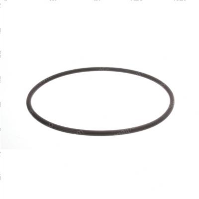 Picture of O-Ring