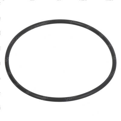 Picture of O-Ring