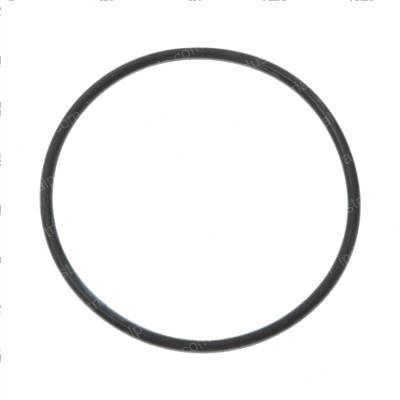 Picture of O-Ring