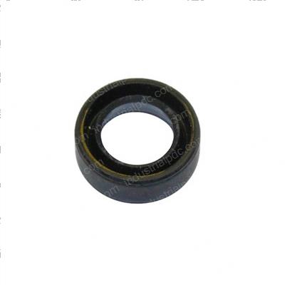 Picture of Seal