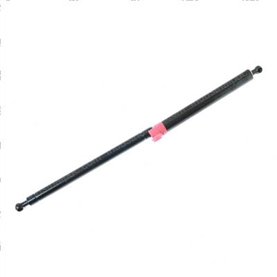 Picture of Gas Spring