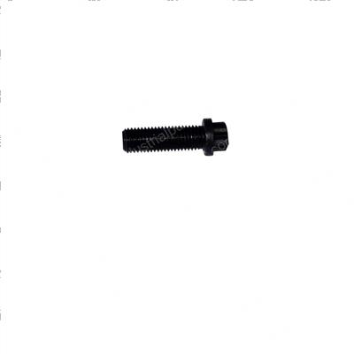 Picture of Bolt